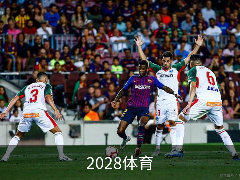 2028体育介绍